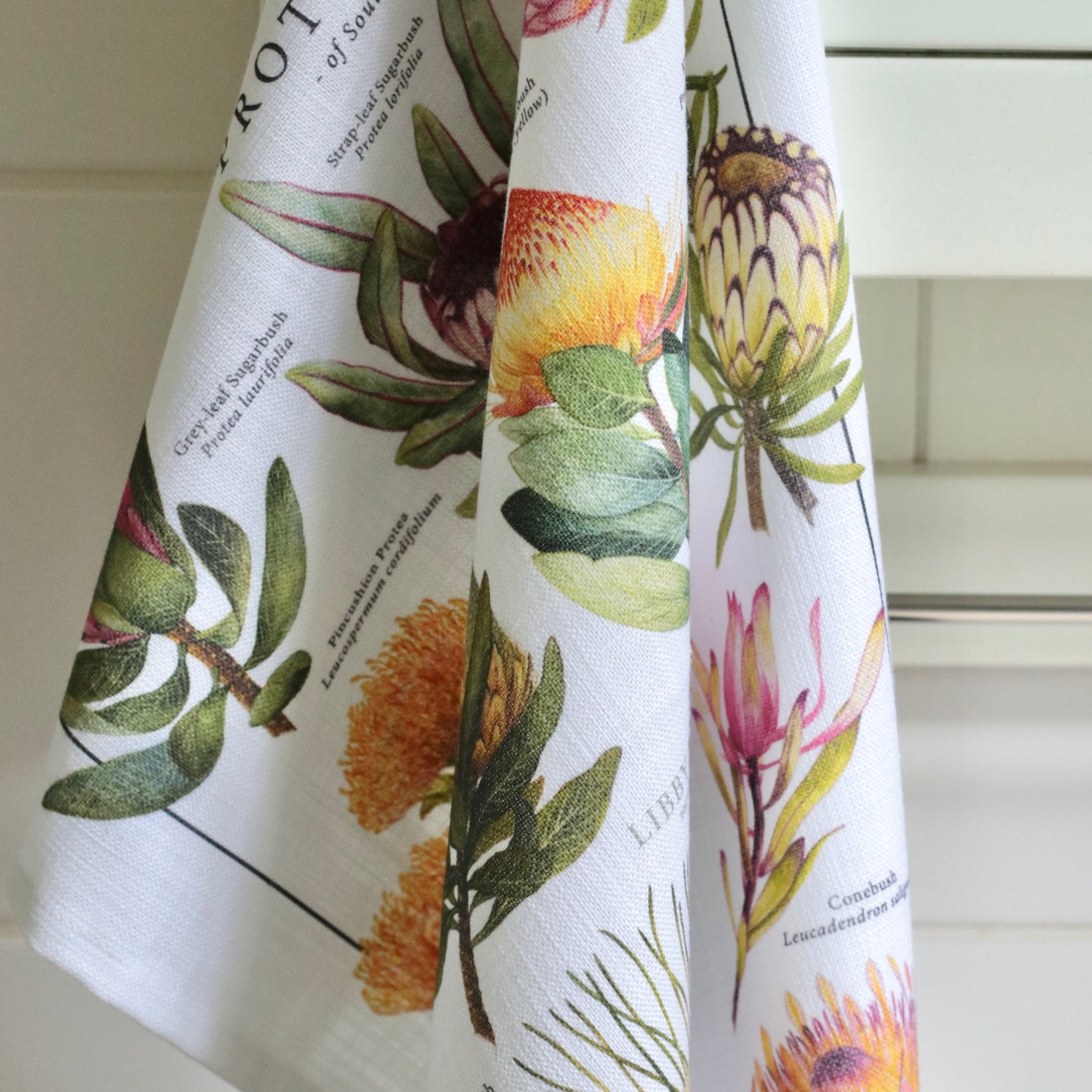 Proteaceae 100% Cotton Tea Towel