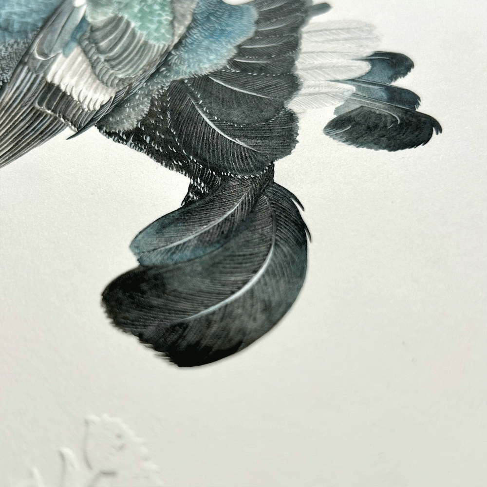 Black Grouse - Unframed Original Painting
