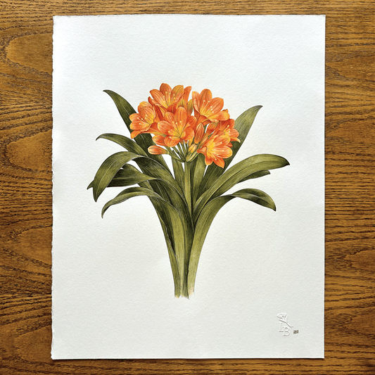 Clivia miniata - Unframed Original Painting