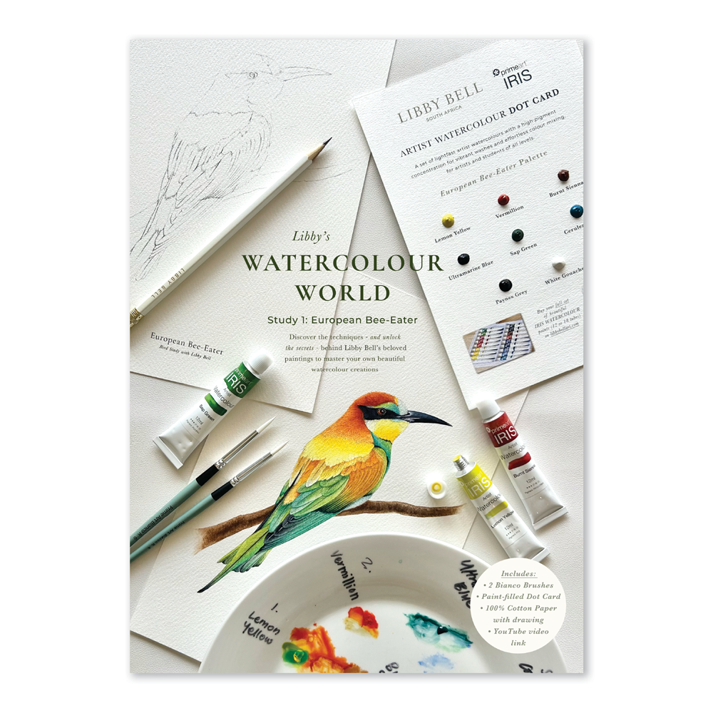 *Pre-Order* European Bee-Eater Watercolour Workshop Pack