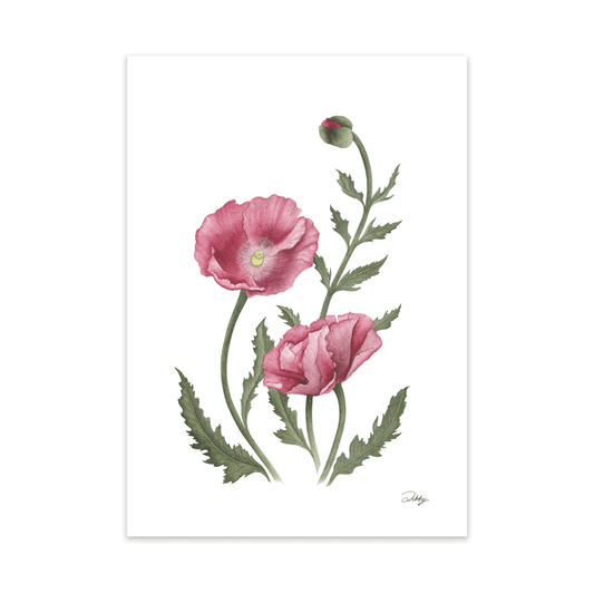 “Patty’s Plum” Poppies Print