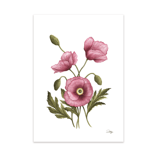 “Imperial Pink” Poppies Print