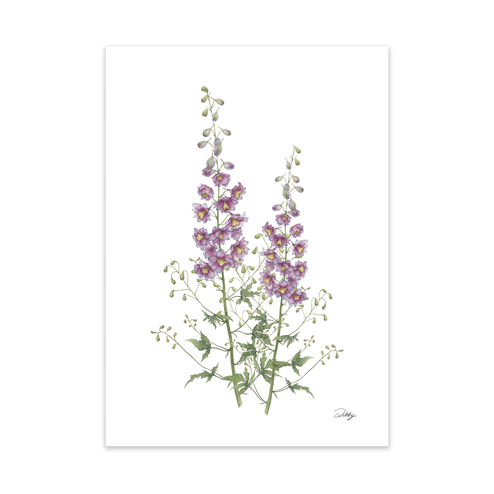 "Magic Fountain' Delphinium Print
