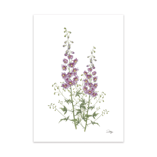 "Magic Fountain' Delphinium Print