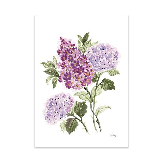 Purple Buddleja with Hydrangeas Print