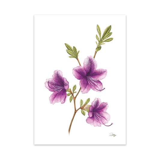 "Autumn Lilac" Azalea Print