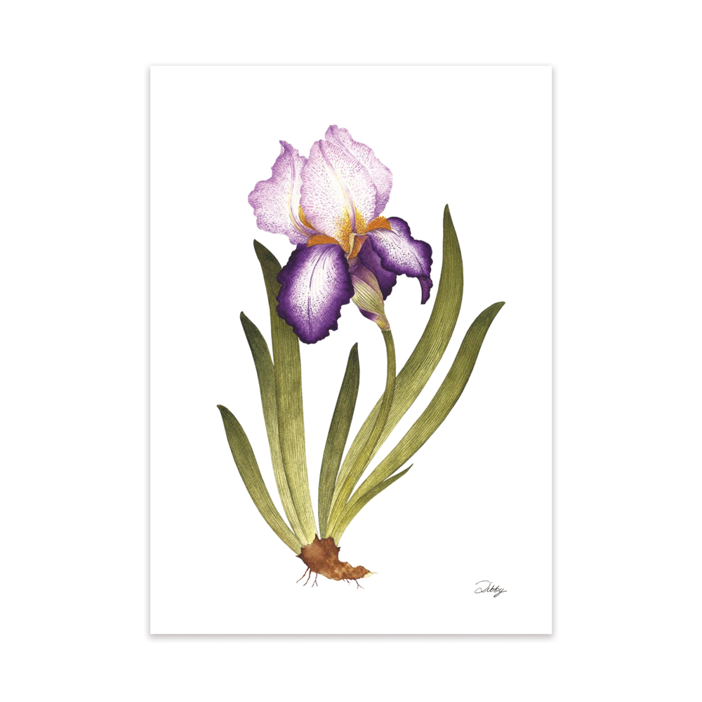 Iris “Change of Pace” Print