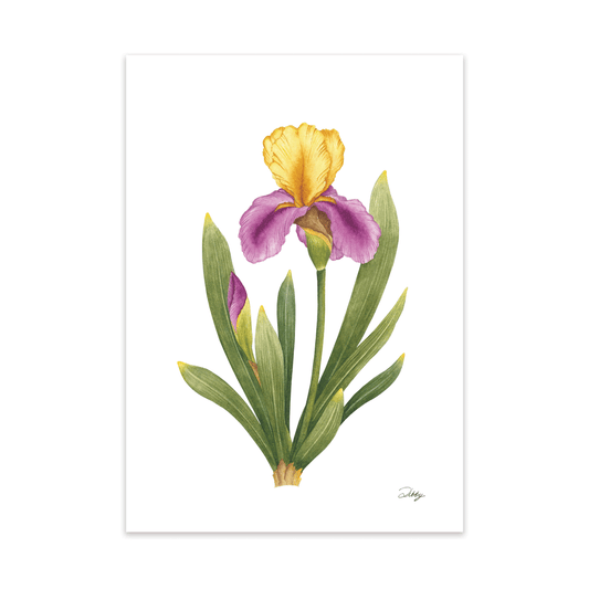 Iris “Jurassic Park” Print