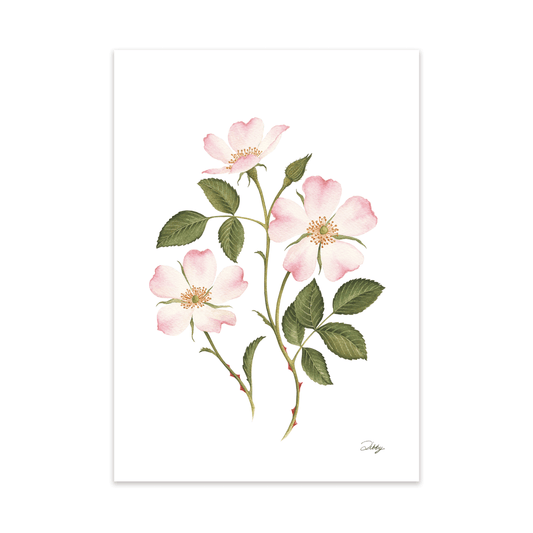 Pink Dog Rose Print
