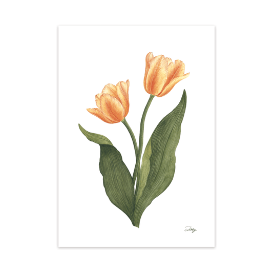 “Peach Blossom” Tulip Print