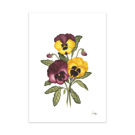 Pansy Trio Print