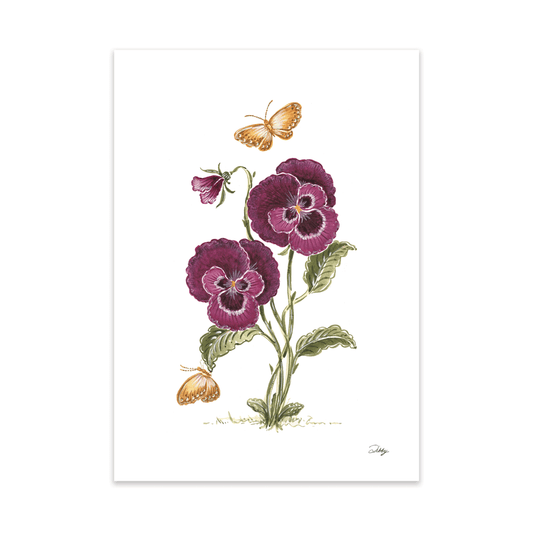 Burgundy Pansies with yellow butterflies Print