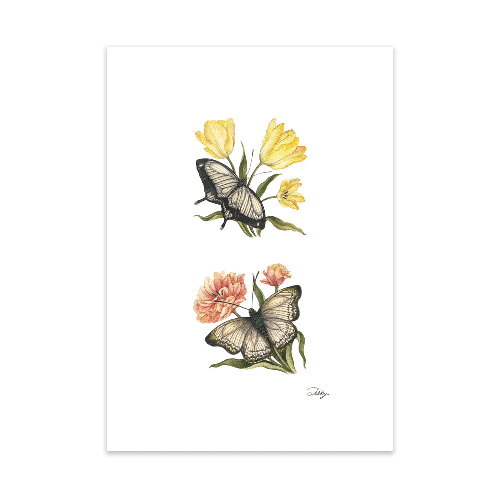 Tulips with Black Butterflies Print