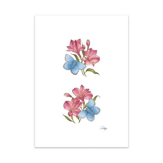 Pink Alstroemerias with Blue Butterflies Print