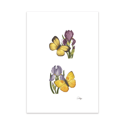 Purple Irises with Yellow Butterflies Print