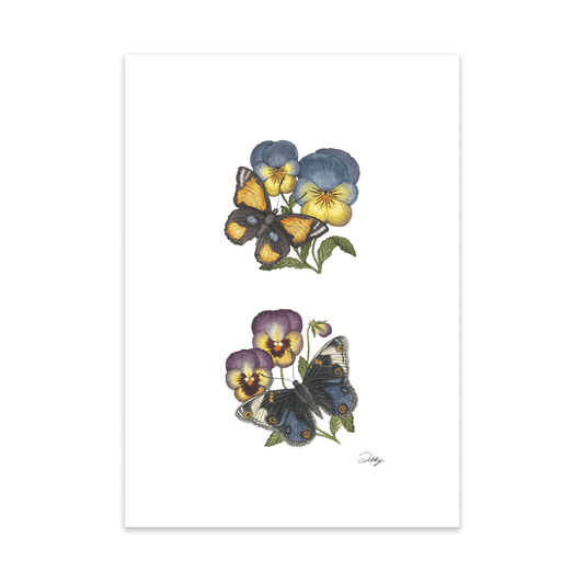 Pansies with Pansy Butterflies Print