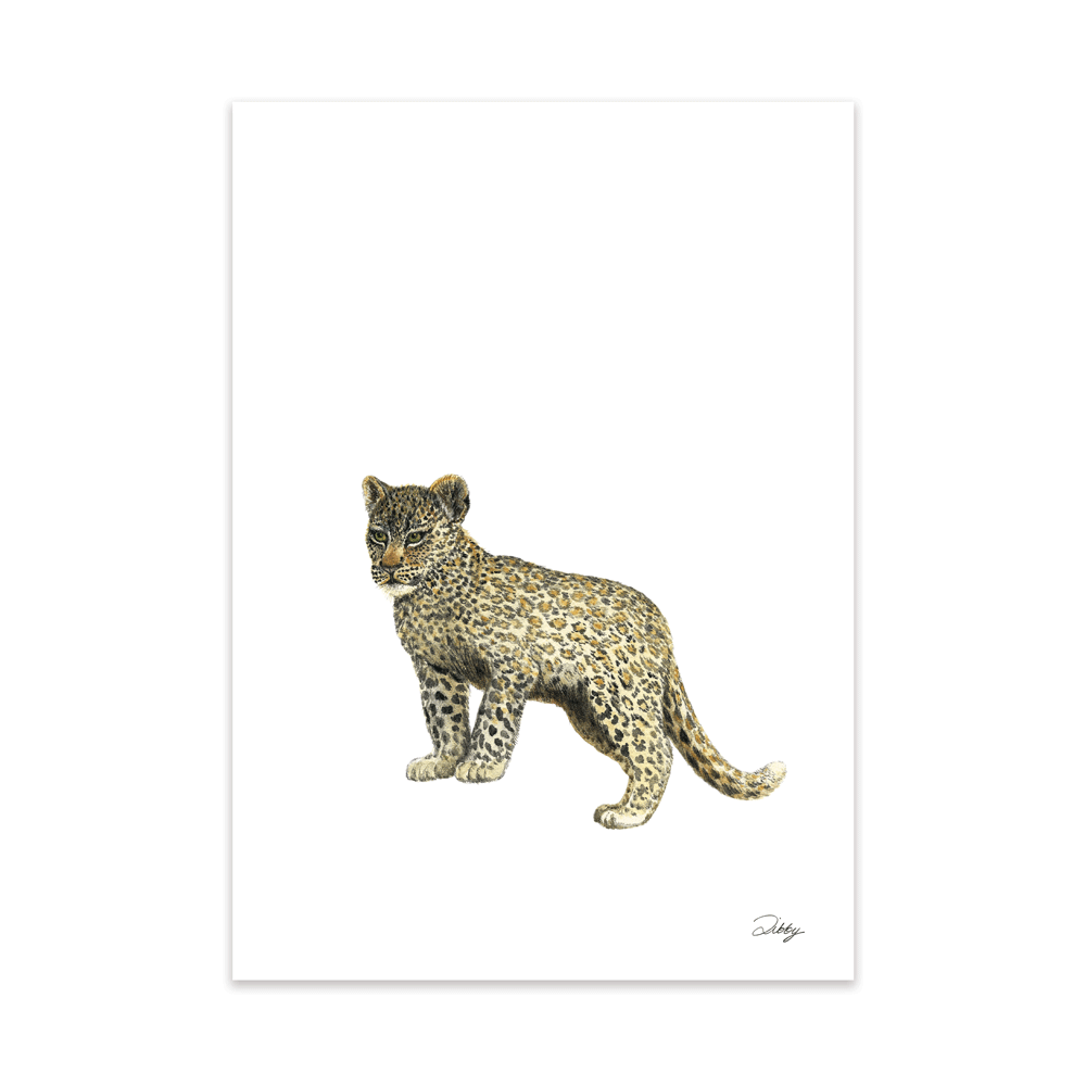 Safari Baby Leopard Print – Libby Bell South Africa