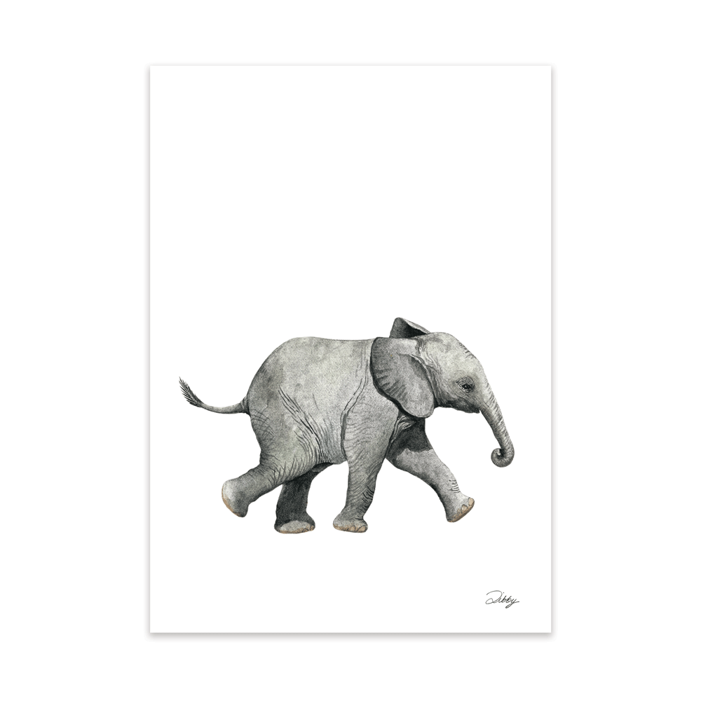 Safari Baby Elephant Print