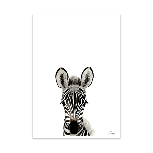 Safari Baby Zebra Portrait Print