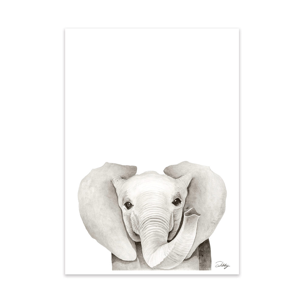 Safari Baby Elephant Portrait Print