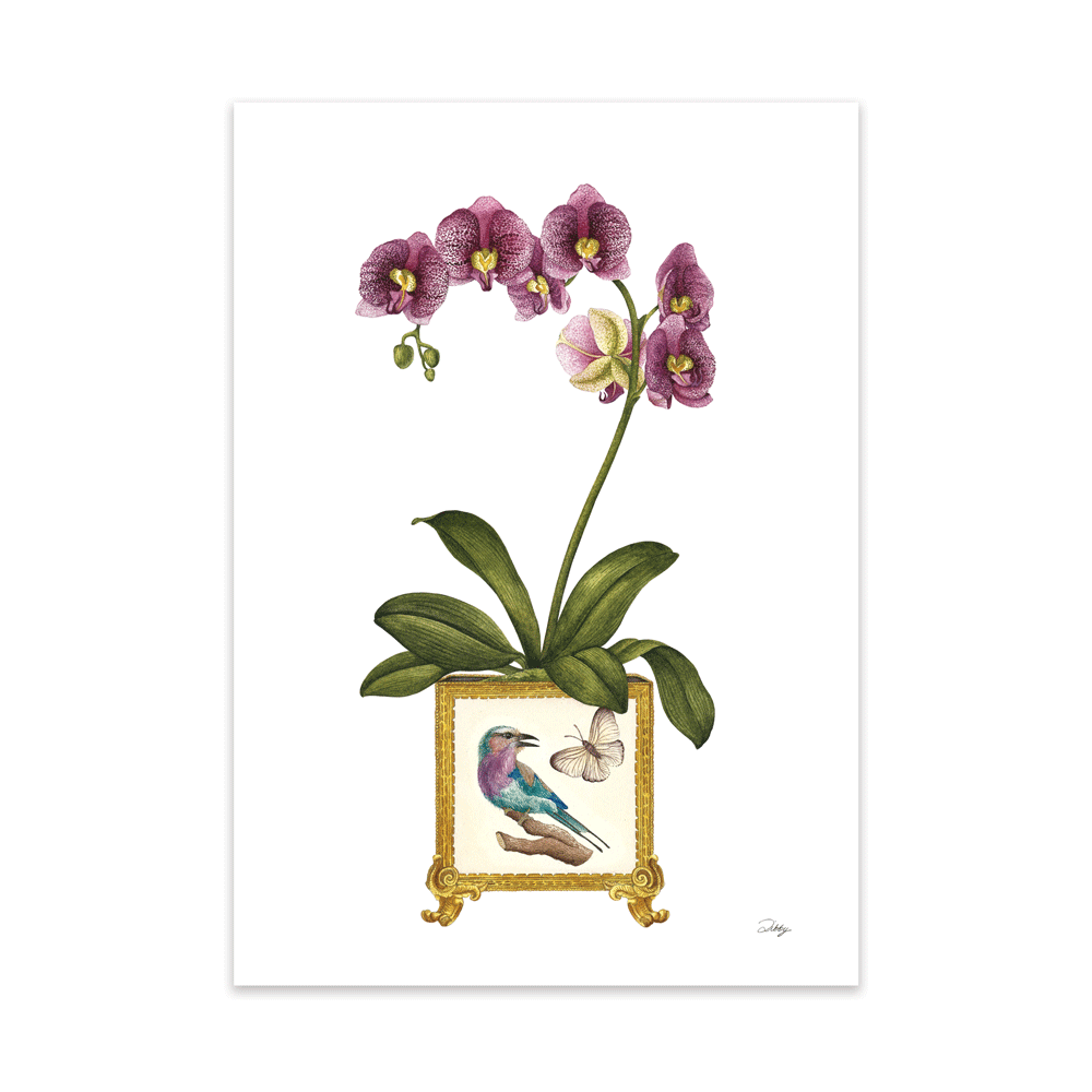 Orchid in Vase with Lilac-breasted Roller (2) Print