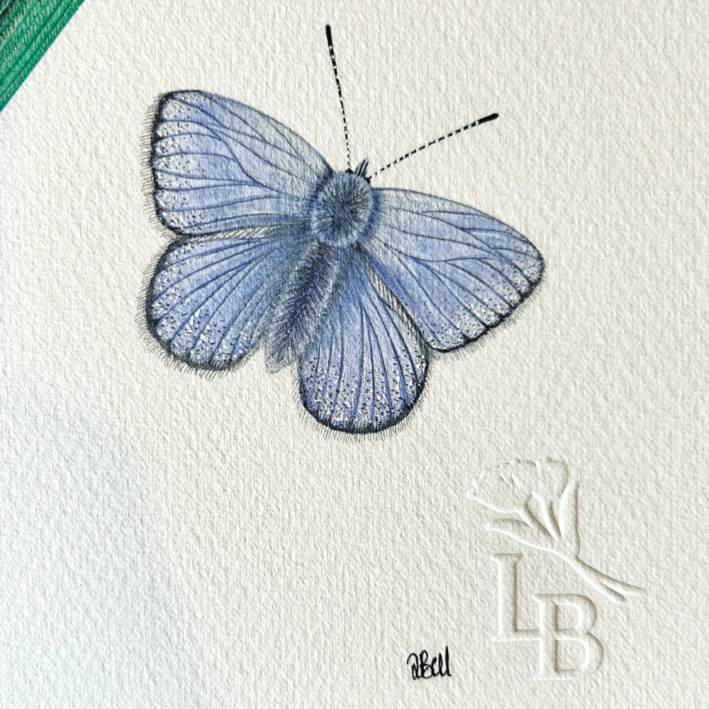European Bee-Eater with blue butterfly - Unframed Original Painting