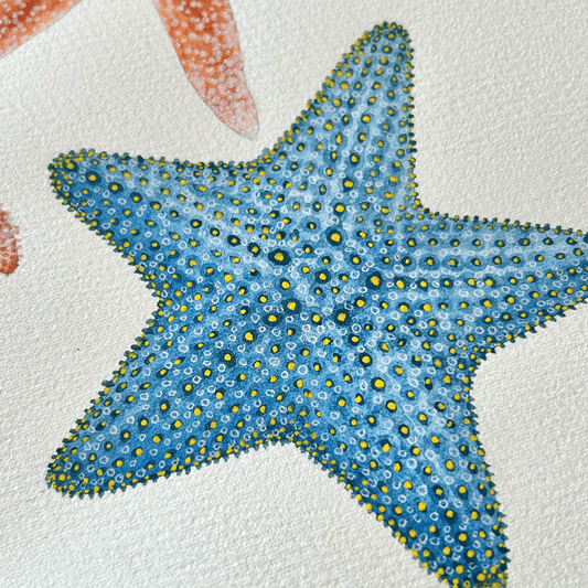 Starfish of the South African Coastline - Unframed Original Painting