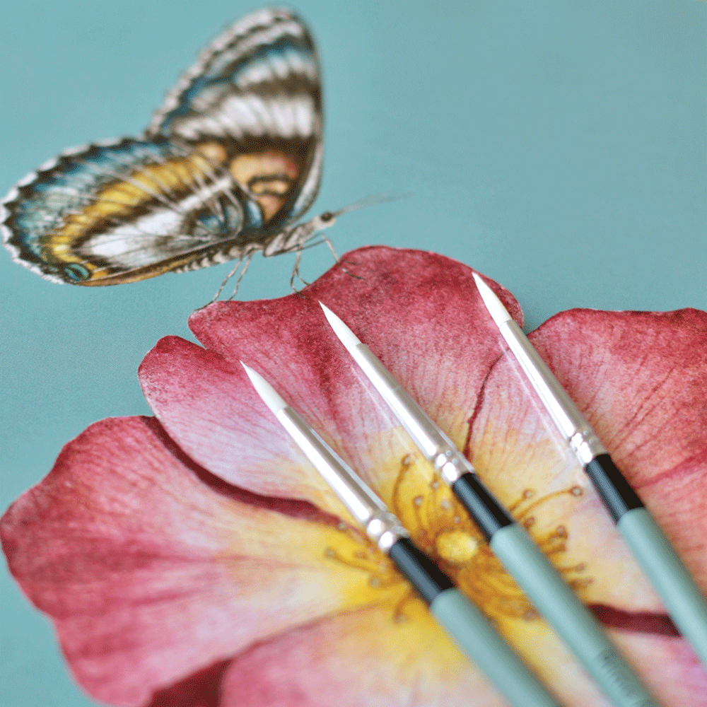 BRUSHES PrimeArt Bianco Round (6 sizes)