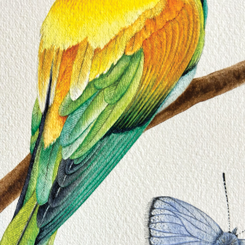 European Bee-Eater with blue butterfly - Unframed Original Painting