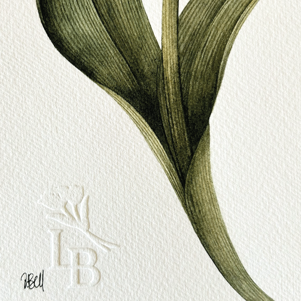 Striated Burgundy Tulip with yellow butterfly- Unframed Original Painting