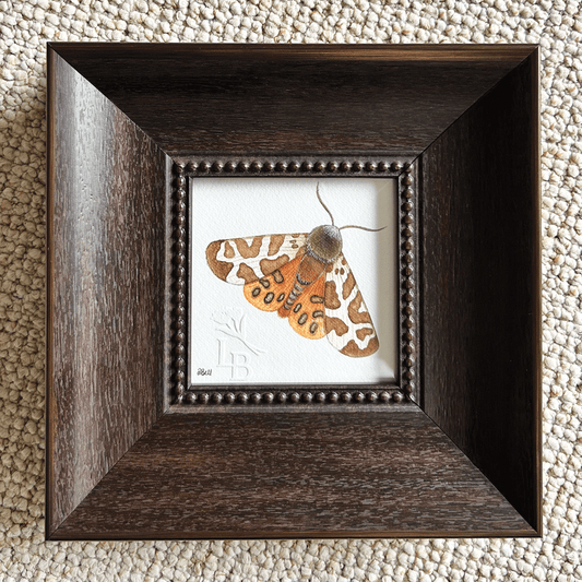 Garden Tiger Moth  - Framed Original Painting