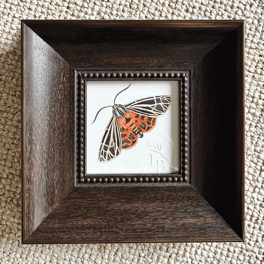 Virgin Tiger Moth  - Framed Original Painting