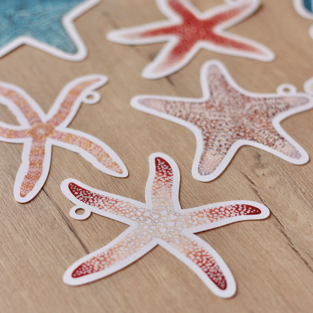 Sea Stars Gift Tags (set of 8)