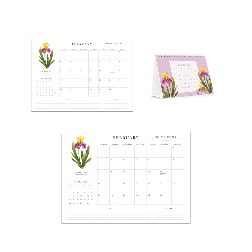 2026 Calendar Bundle