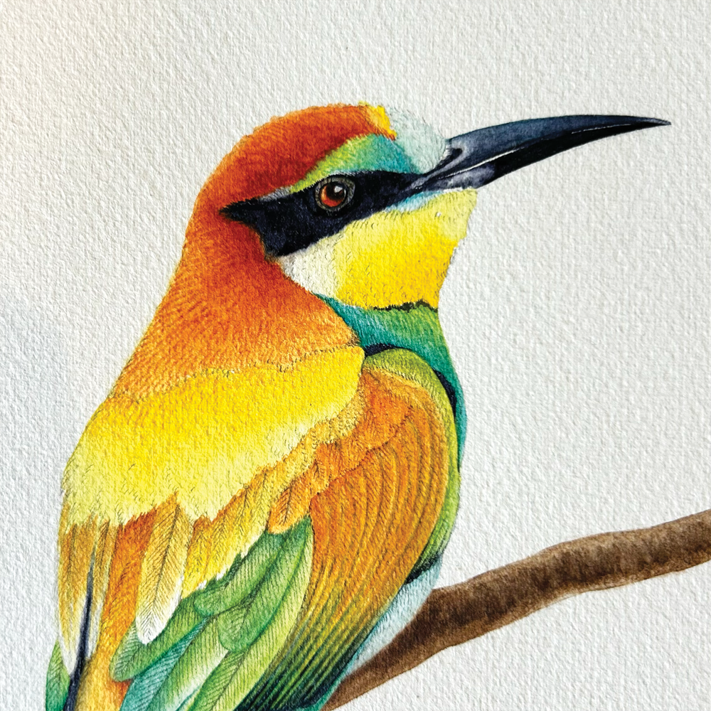 European Bee-Eater with blue butterfly - Unframed Original Painting