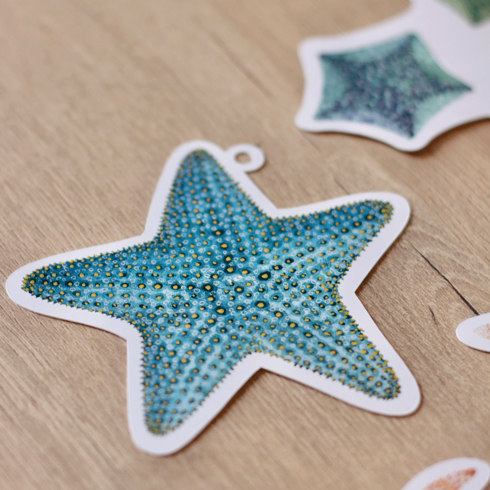 Sea Stars Gift Tags (set of 8)