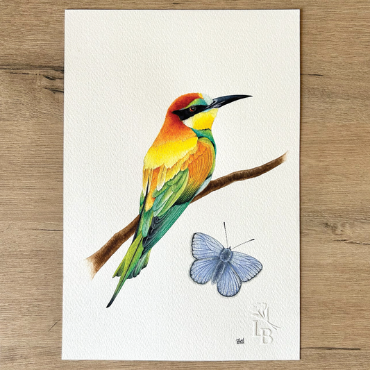 European Bee-Eater with blue butterfly - Unframed Original Painting