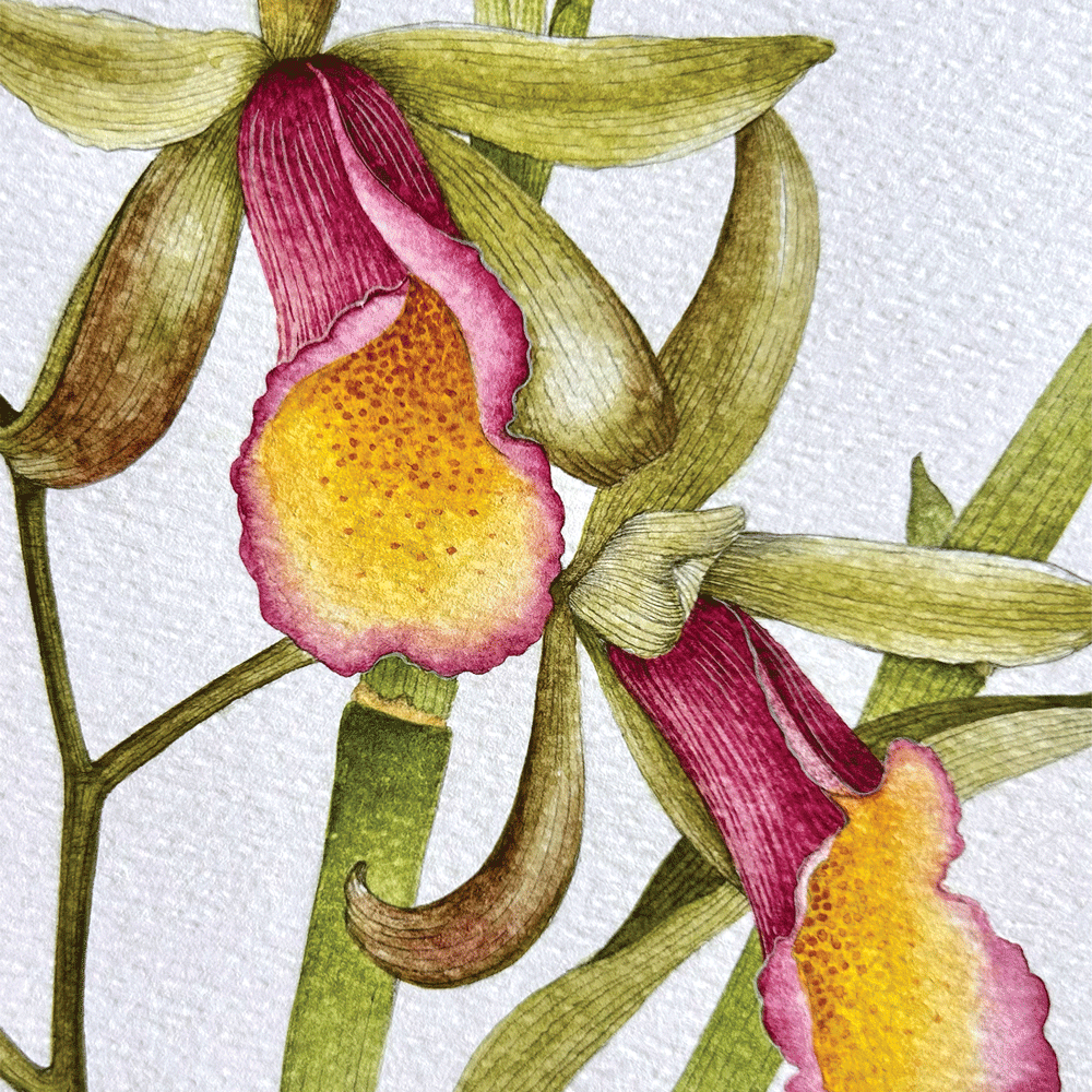 Black Japanese Vase with Orchids and Crested Barbets - Unframed Original Painting