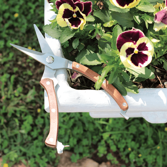 Pruning Secateurs