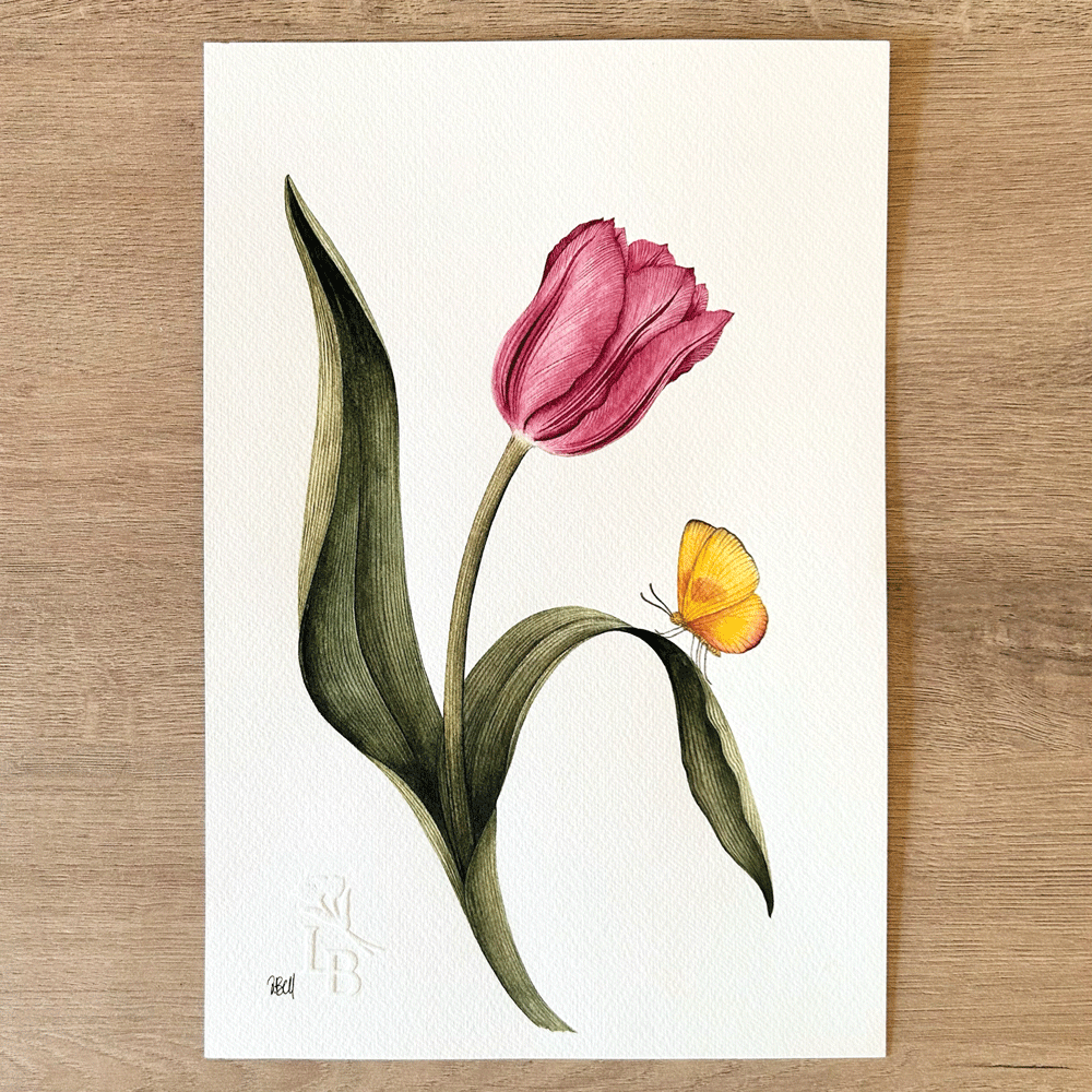 Striated Burgundy Tulip with yellow butterfly- Unframed Original Painting