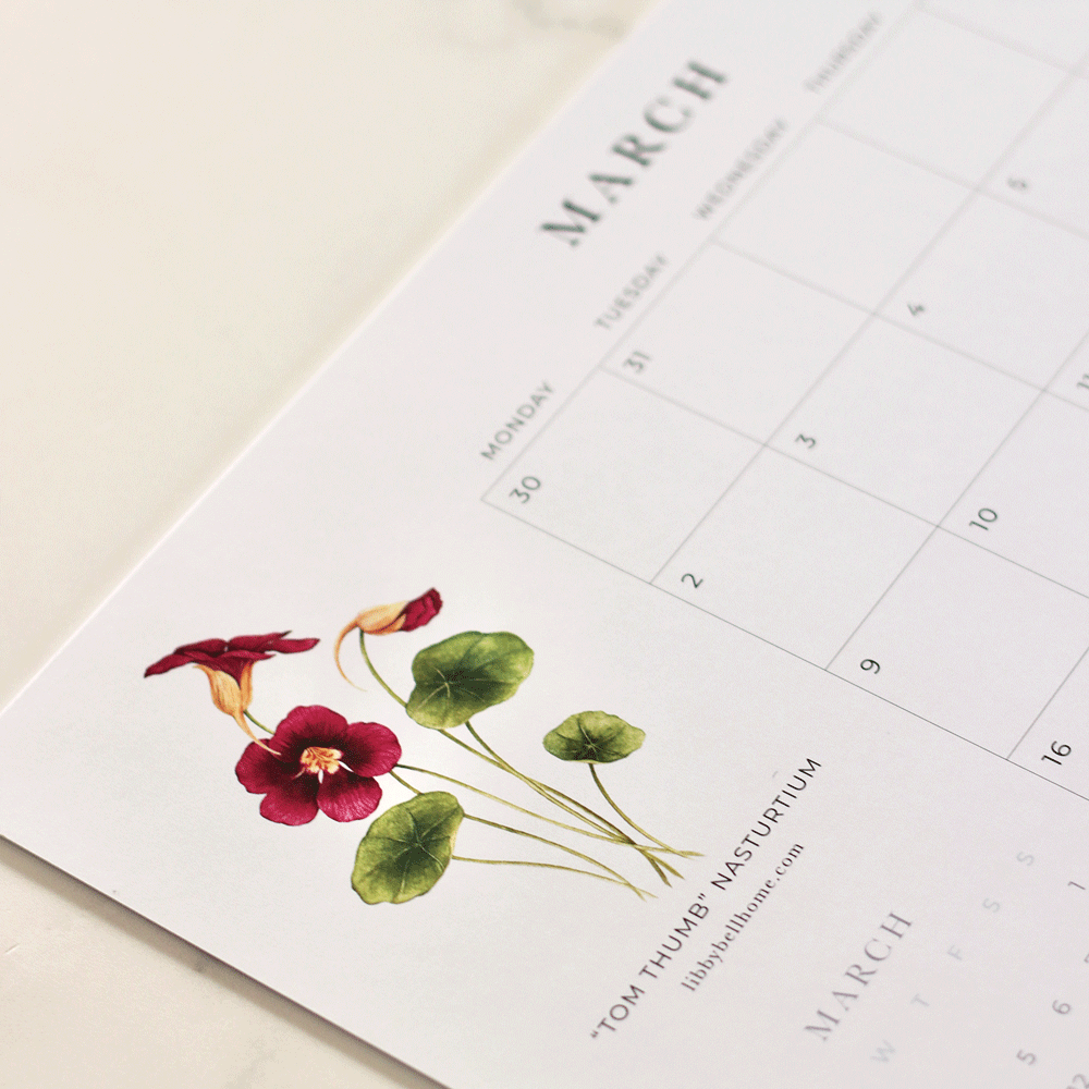 2026 A4 Deskpad Calendar (Medium)