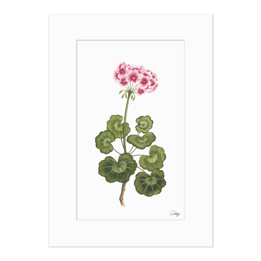 "Allure Light Pink" Geranium Print