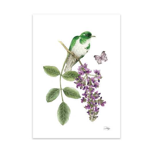Apple-leaf Capassa with Klaas's Cuckoo and Mother-of-Pearl butterfly Print