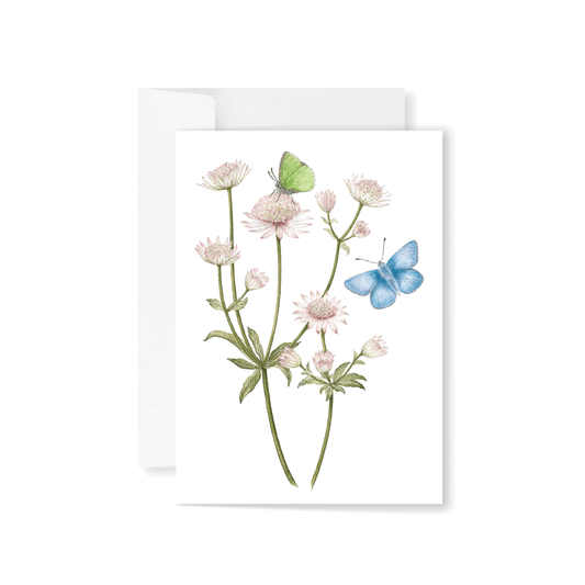 Astrantia, Holly Blue & Green Hairstreak Greeting Card
