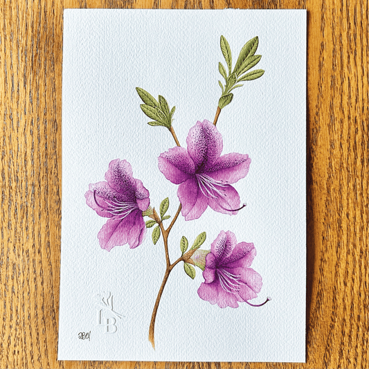 Azalea japonica "Autumn Lilac"  - Unframed Original Painting