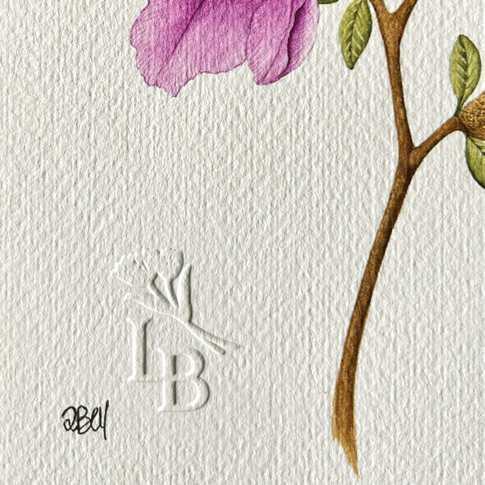 Azalea japonica "Autumn Lilac"  - Unframed Original Painting