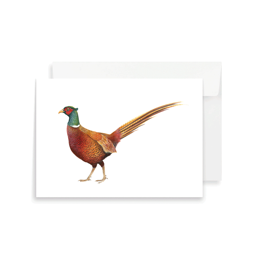 Balmoral Pheasant Greeting Card