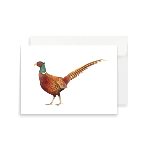 Balmoral Pheasant Greeting Card