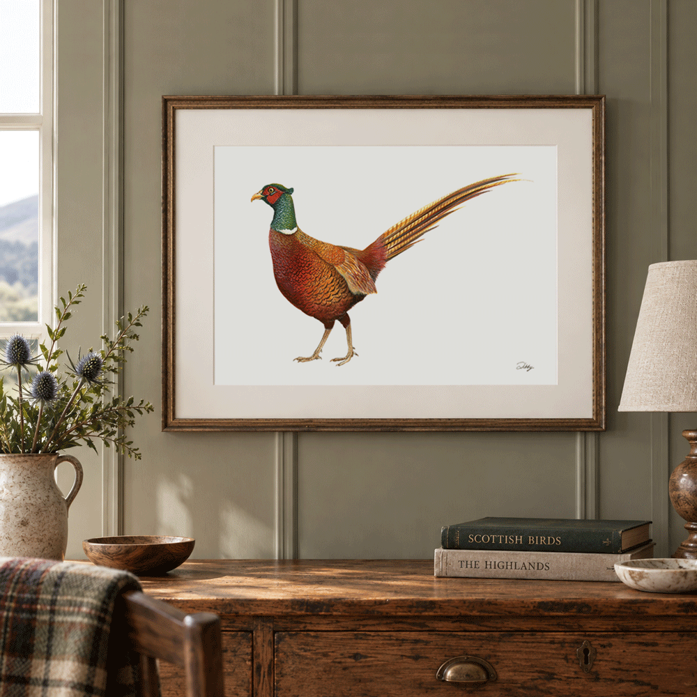 Balmoral Pheasant Print