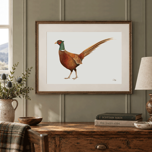 Balmoral Pheasant Print